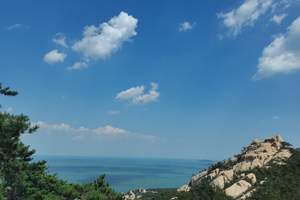 北京到山东旅游 青岛旅游 栈桥、极地海洋世界小包团双高三日游