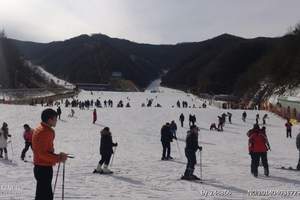 伏牛山