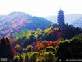 济南红叶谷