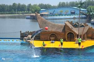 乐岛海洋公园