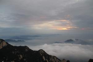 泰山