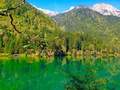 北京到成都五日游_成都,峨眉山,乐山,青城山,成都熊猫基地