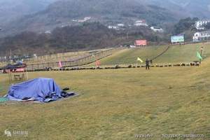 四川绵竹九龙滑草场