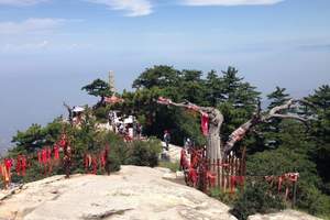 北京到陕西旅游 延安 壶口 西安兵马俑 华山 乾陵双卧八天