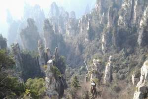 北京到湖南旅游 享游湘西 长沙韶山 张家界天门山双卧七日游
