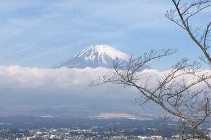 日本游线路日本高品质团 本州东京大阪和歌山7天6晚全五星住宿