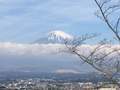 日本游线路日本高品质团 本州东京大阪和歌山7天6晚全五星住宿