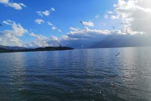 北京到云南旅游 昆明大理丽江 奢华海景酒店 高端纯玩六日游