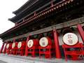 北京到陕西旅游 兵马俑 华山 乾陵法门寺 大唐不夜城双高五日
