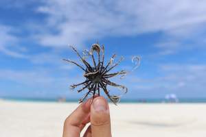 去海南三亚西沙群岛旅游多少钱 西沙南海之梦邮轮4晚5天含机票
