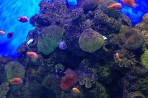 洛阳龙门海洋馆