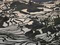 <摄影团>昆明抚仙湖 沙甸红河墨江 普洱景迈山哀牢山双飞十日