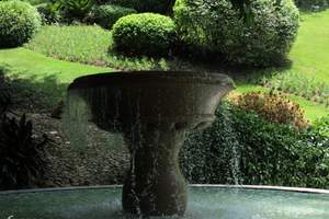 雁南飞茶田