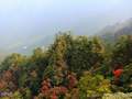 临安大明山