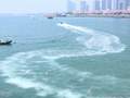 北京到刘家湾赶海旅游、青岛、日照出海捕鱼、龙舟赛海双高四日游
