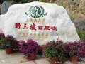 北京到野三坡二日游_野三坡旅游报价_野三坡2日游价格_跟团游