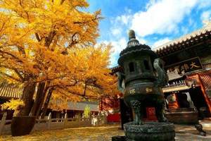团建春游-党建活动 北京怀柔红螺寺、铁军纪念馆、品虹鳟一日游