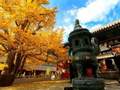 团建春游-党建活动 北京怀柔红螺寺、铁军纪念馆、品虹鳟一日游
