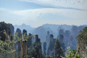 北京成团湖南旅游 韶山 张家界 天门山 凤凰古城 双高七日游